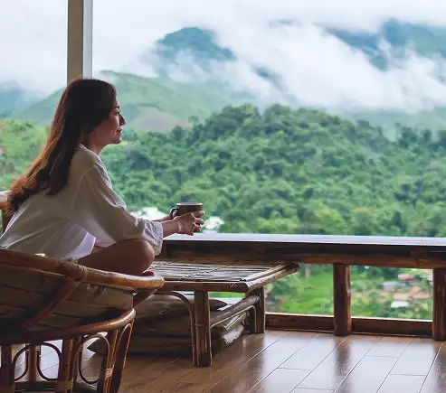 Discover the Luxury of Mulberry Resort Manali: A Gateway to Natural Beauty